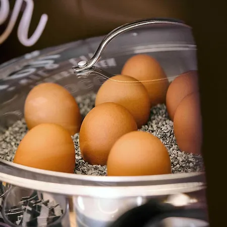 מלון Stuttgart-bad Cannstatt 3*